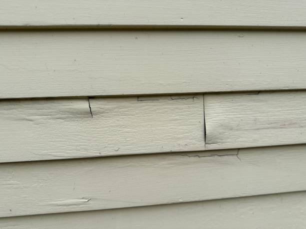 Best Property Management Cleanouts  in Blandon, PA